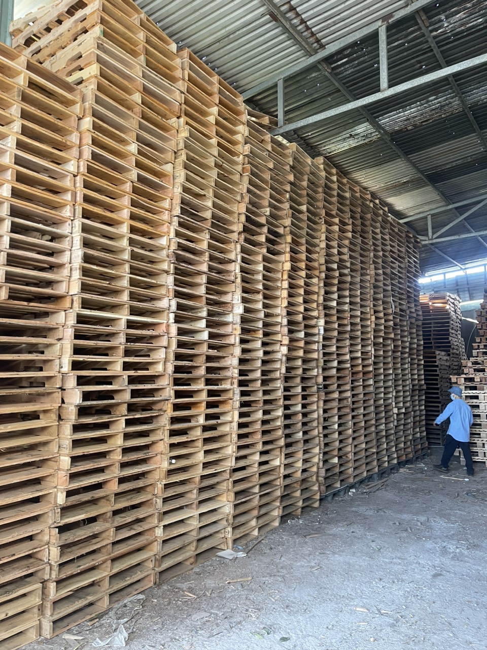 Pallet gỗ - Pallet Phú Lan - Công Ty TNHH Phú Lan